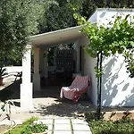 Formica Monopoli