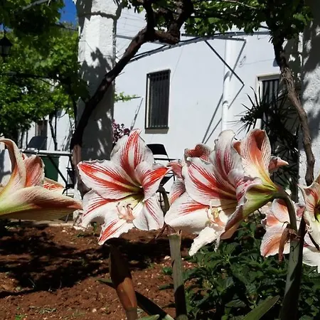 Villa Formica Monopoli Country house