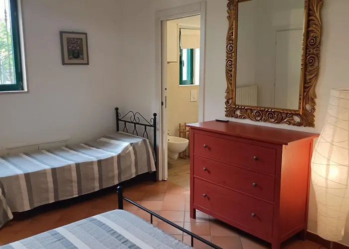 乡村民宿 Formica *