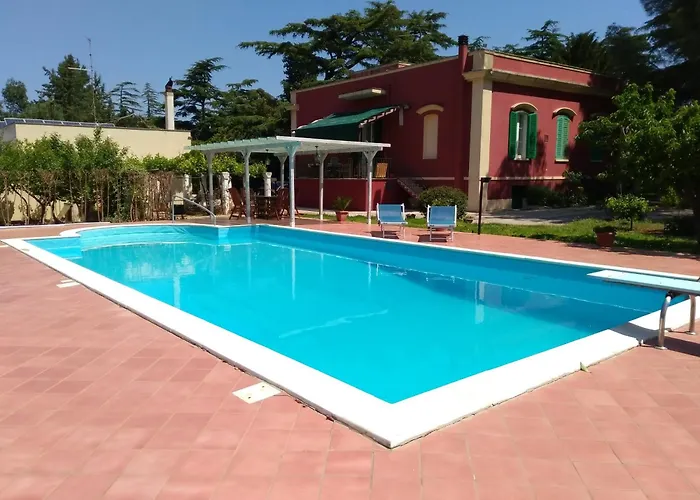 乡村民宿 Formica *