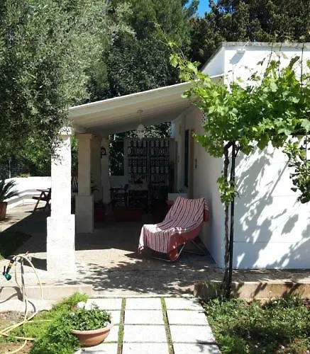 Formica 莫诺波利