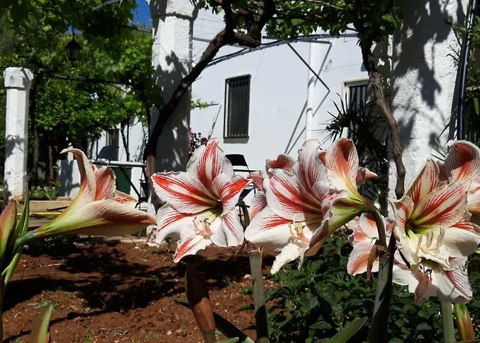 Formica 乡村民宿