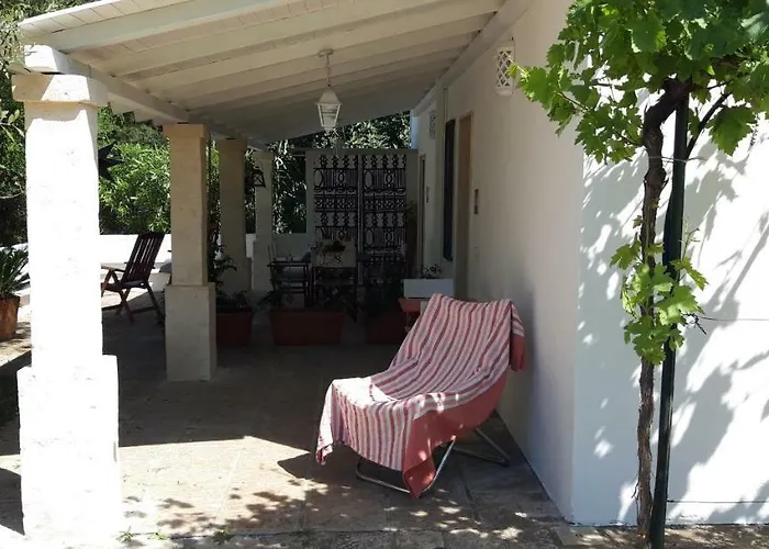 Formica * 莫诺波利